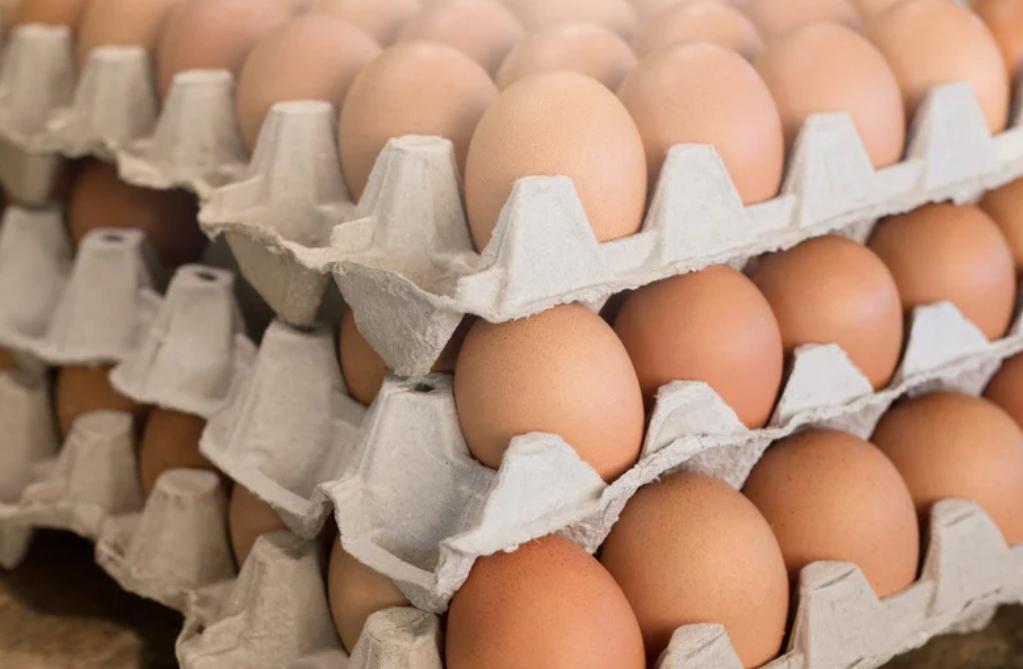 Tres Bandejas de Huevos Color: 90 unidades Tamaño Extra - Imagen 2