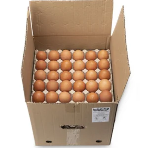 Caja de Huevos Color: 180 unidades Tamaño Extra