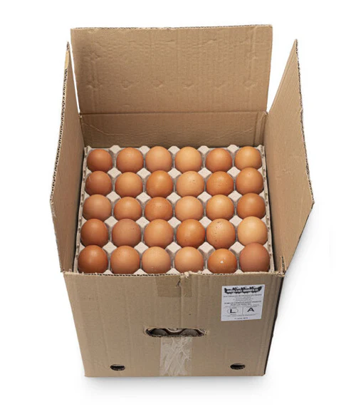 Caja de Huevos Color: 180 unidades Tamaño Extra
